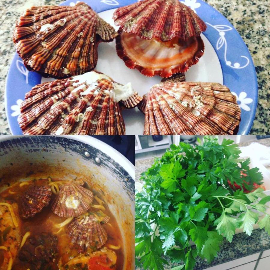 Pousada Recanto Marinho 호텔 아라이알도카보 외부 사진